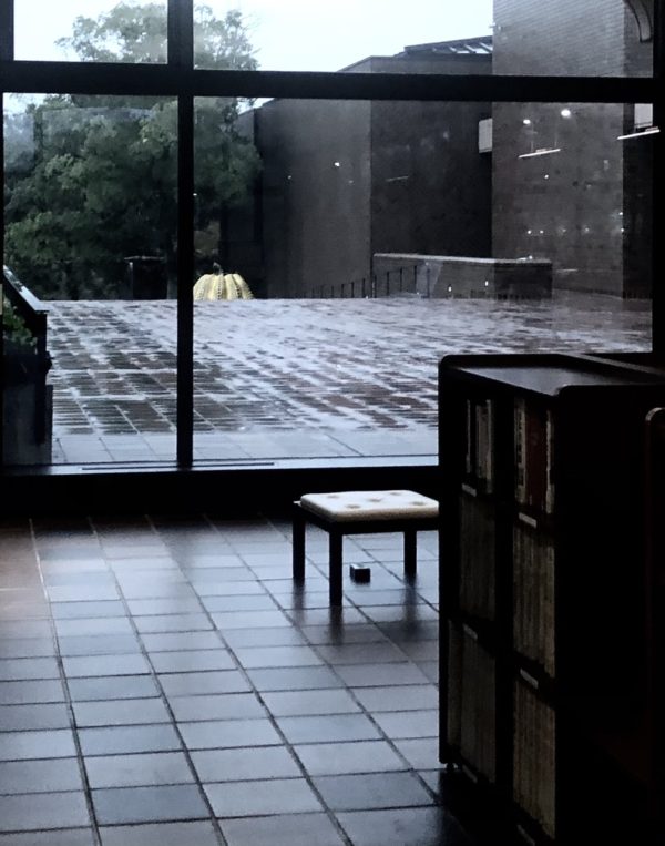 草間彌生osatokyo