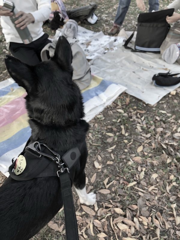 かんべいosatokyo