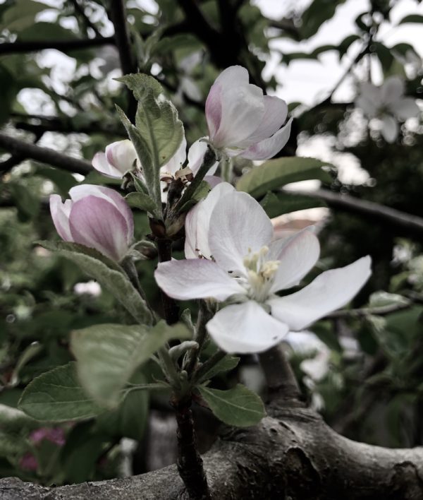 6C666EDE-80D1-434E-8E17-129B39EA7B4C