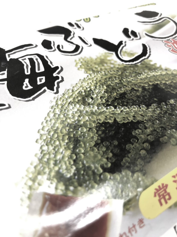 海ブドウosatokyo