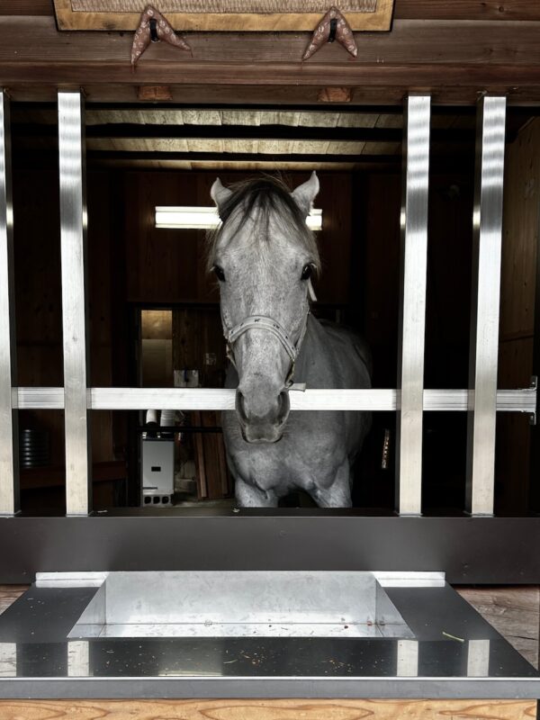 多度大社osatokyo