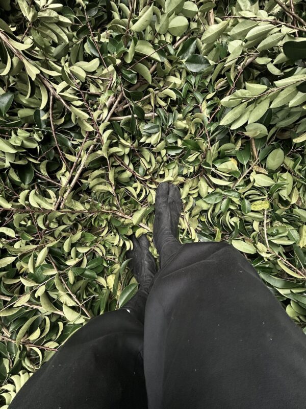 地下足袋osatokyo