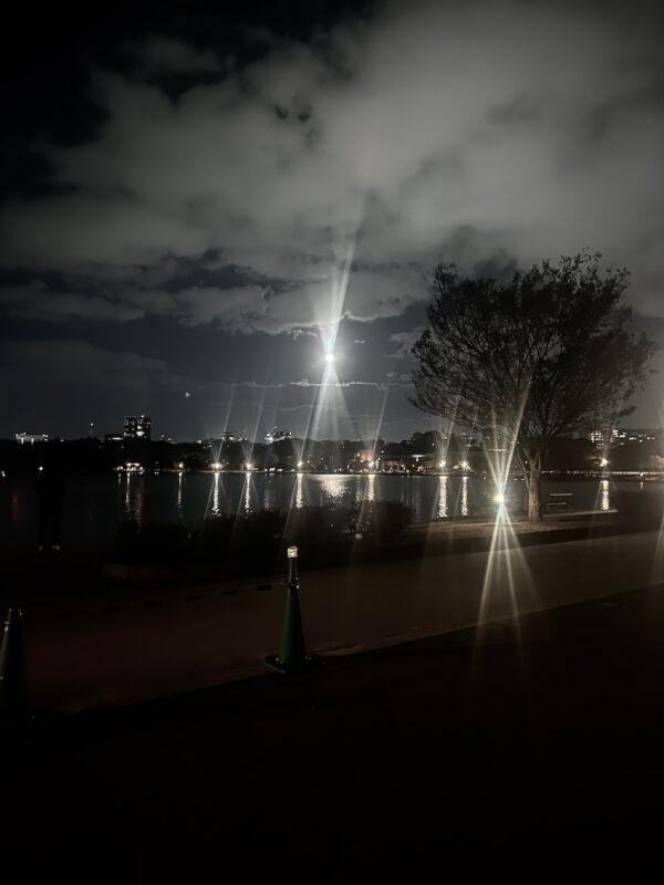 月明かりosatokyo