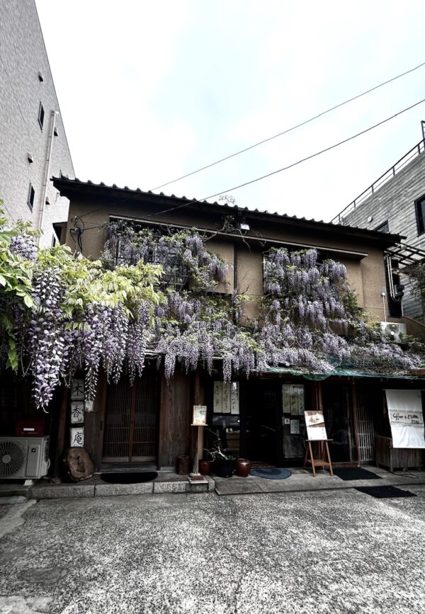 和菓子屋osatokyo