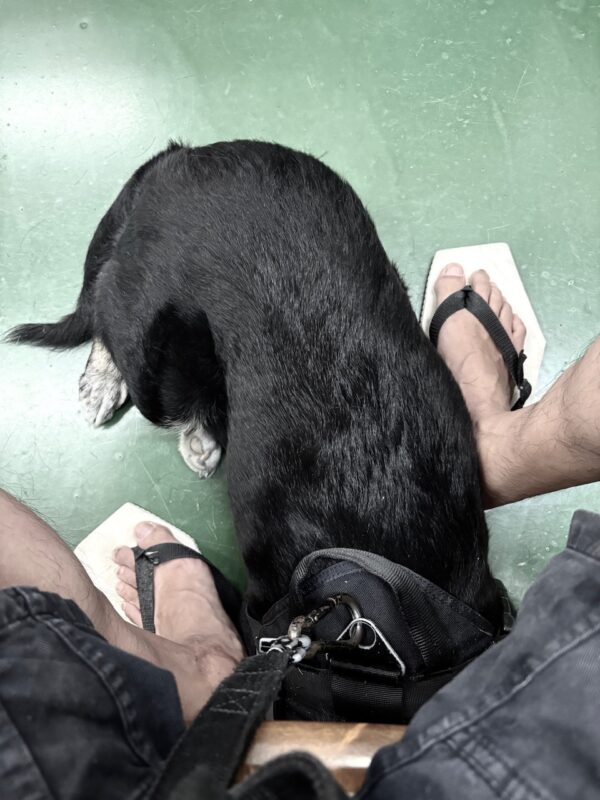 病院にてosatokyo