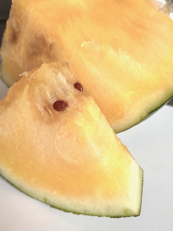 黄色西瓜osatokyo