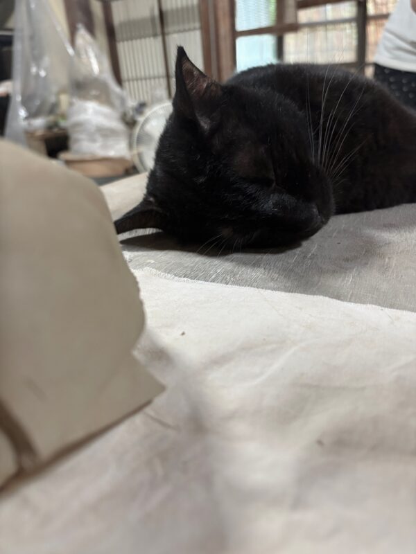 スヤスヤosatokyo