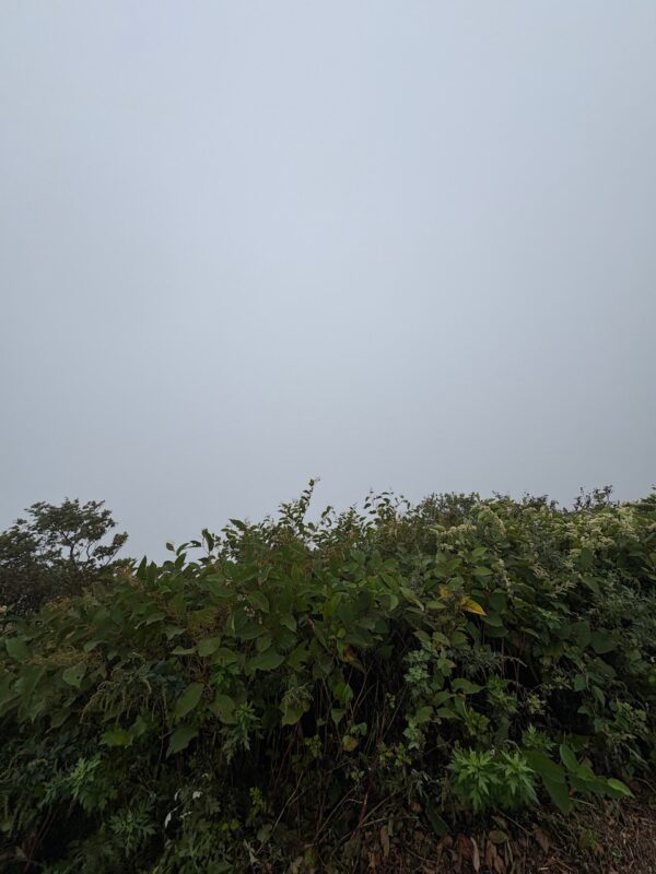 UFOラインosatokyo