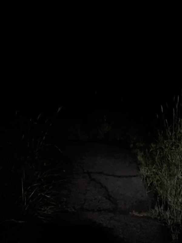 初朝駆けosatokyo