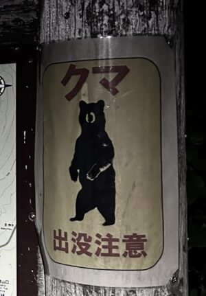 クマノウラ