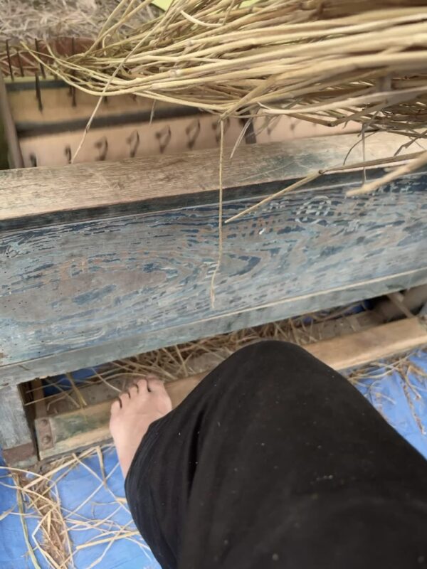 パンツ8号osatokyo