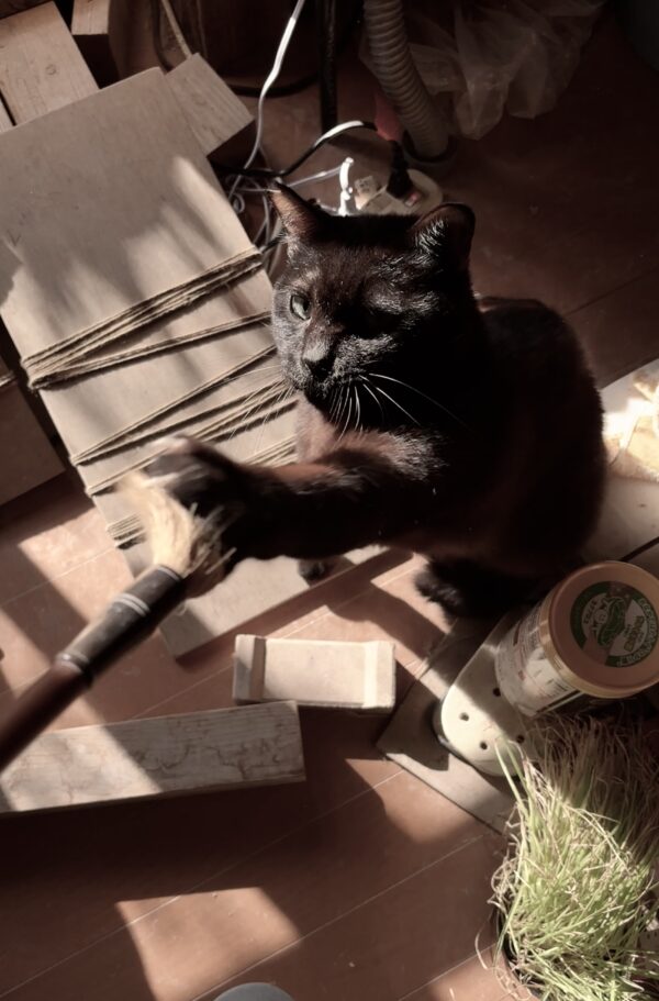 猫パンチosatokyo