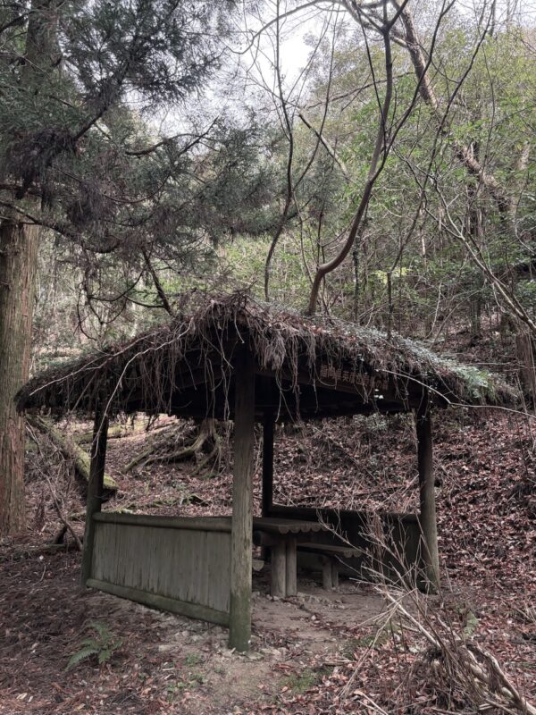 屋根の木osatokyo