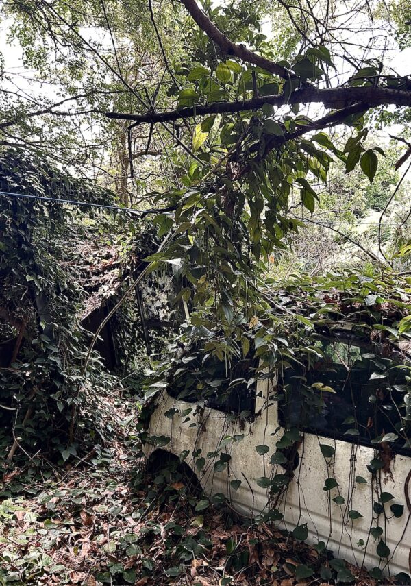 キャロルosatokyo