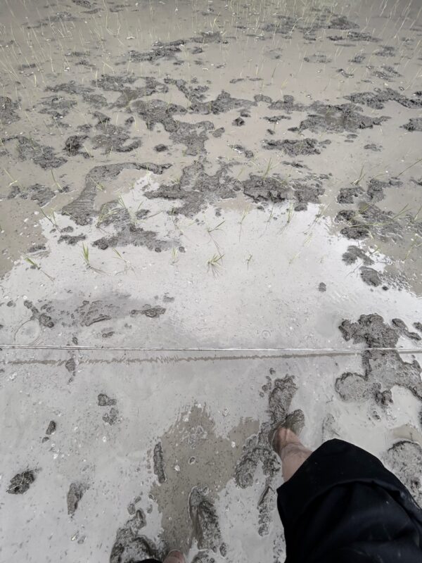 泥まみれosatokyo