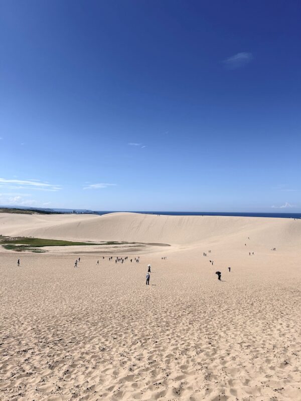 鳥取砂丘osatokyo