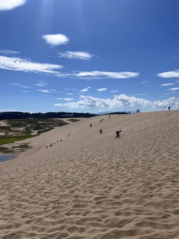 鳥取砂丘osatokyo