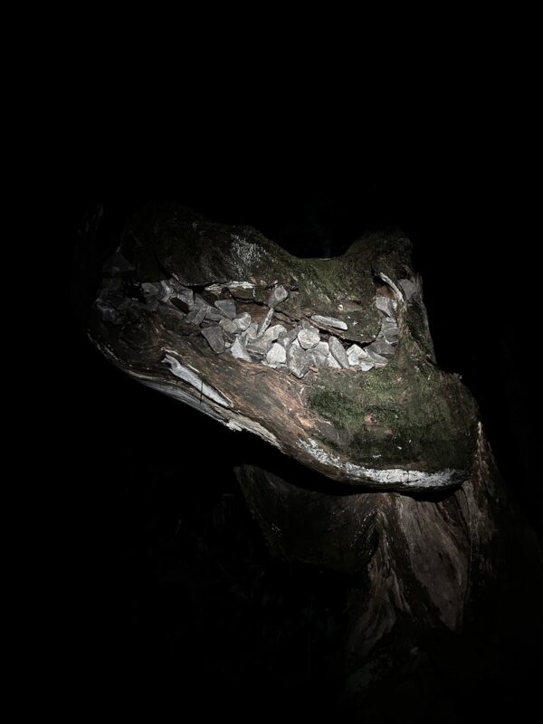 ゴジラ岩osatokyo